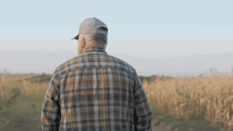 clip-la-historia-de-miguel-angel