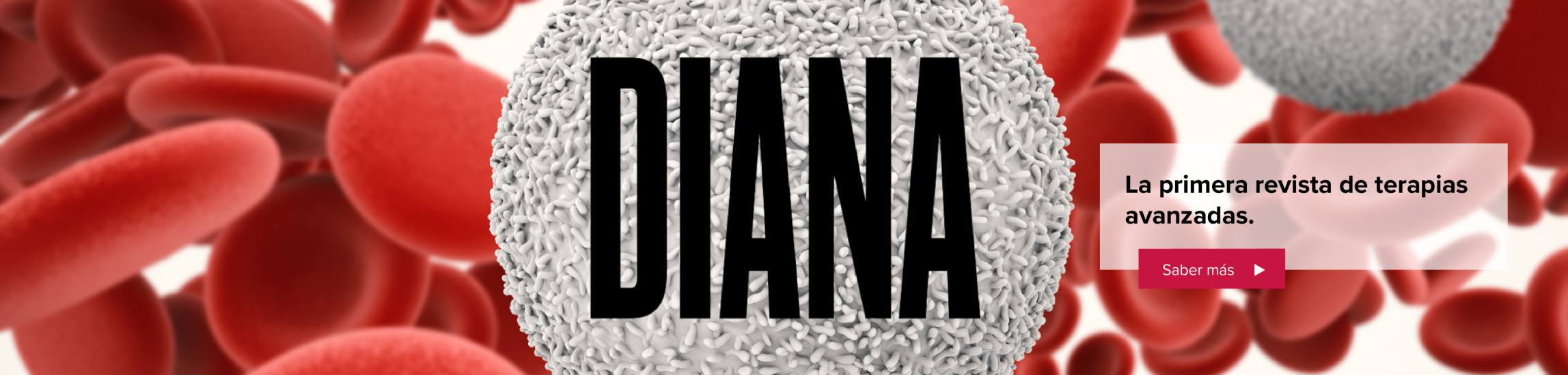 Diana-banner_es